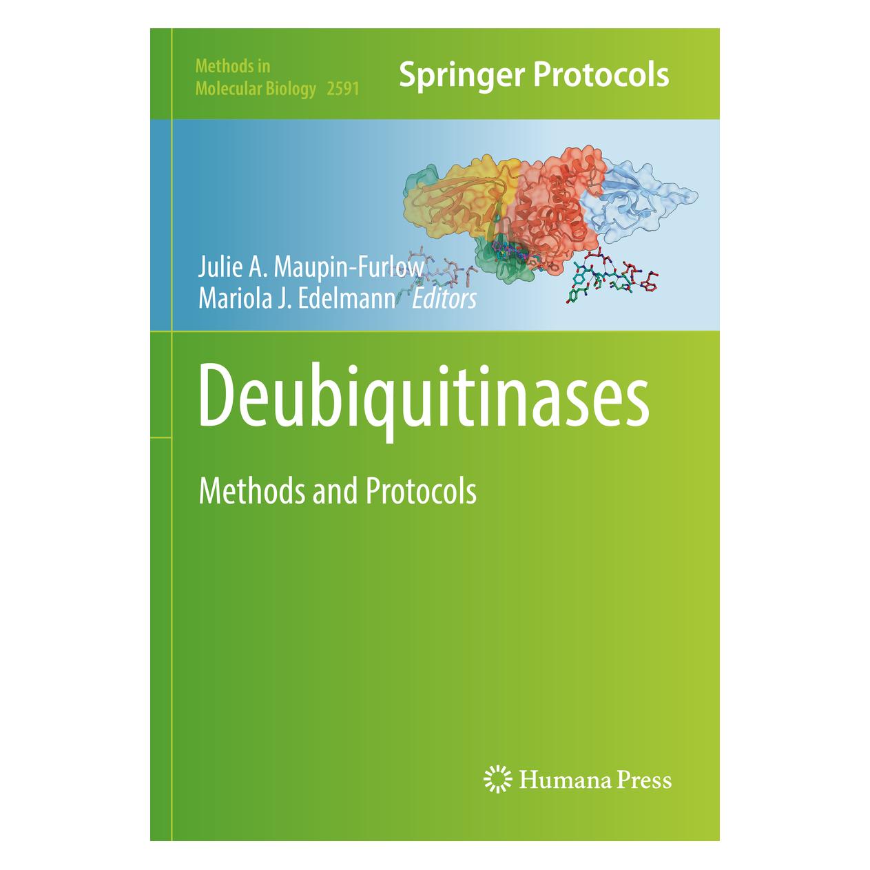 Springer Deubiquitinases (Englisch, Softcover, Julie Maupin-Furlow, Mariola J. Edelmann) (56979687)