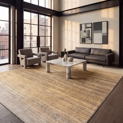 SAFAVIEH Adirondack Wilmy Ombre Distressed Rug