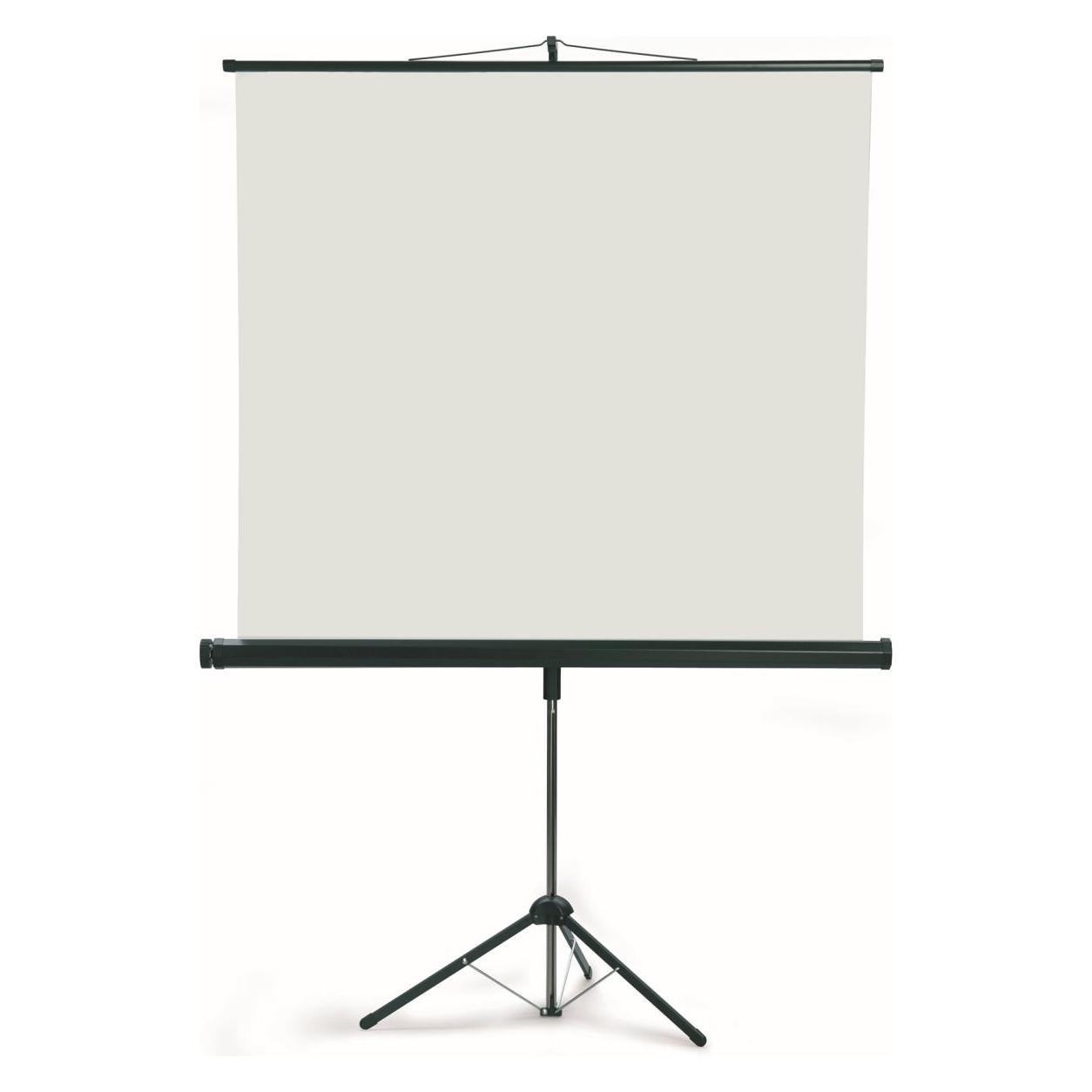 Franken Stativleinwand 200 x cm Projektionsfläche (1:1) (LWST220)
