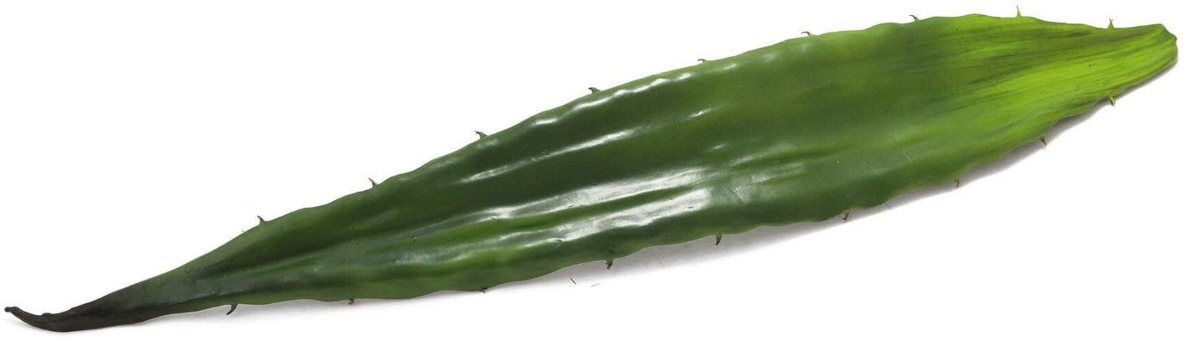 Europalms Aloeblatt (Eva), Grün, 60cm