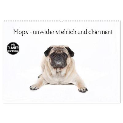 Mops - unwiderstehlich und charmant (Wandkalender 2026 DIN A2 quer), CALVENDO Monatskalender