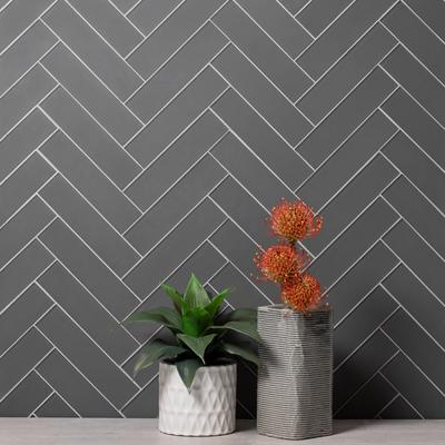 Cruz Bay Studio 2 in. x 8 in. Glass Subway Wall Tile