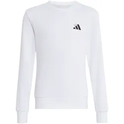adidas Heart Embroidery Graphic Sweatshirt Mädchen KQ7065 - white 128