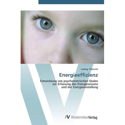 Energieeffizienz, Taschenbuch von Ludwig Piskernik, AV Akademikerverlag, 978-3-639-43506-1