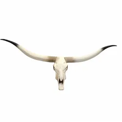 Décoshop26 - Dekorativer Kuhschädel Stierkopf Longhorn-Wandtrophäe aus Polyresin 103 x 43 x 11 cm 04_0002819