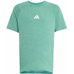 ADIDAS Kinder Shirt All Sports Favorite, Größe 176 in Grün Grün