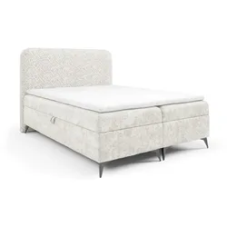 BOXBETT Triana