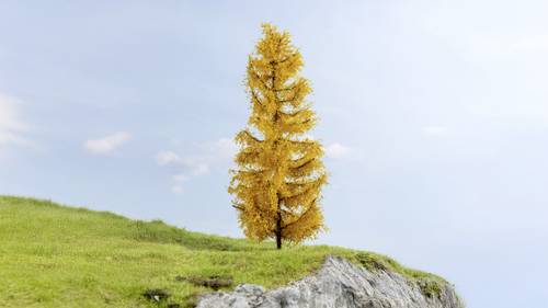NOCH 0020169 Baum Lärche 220mm 1St.