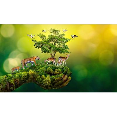 Fototapete PAPERMOON "hand mit Baum und Tieren", bunt, B:4m L:2,6m, Vlies, Tapeten