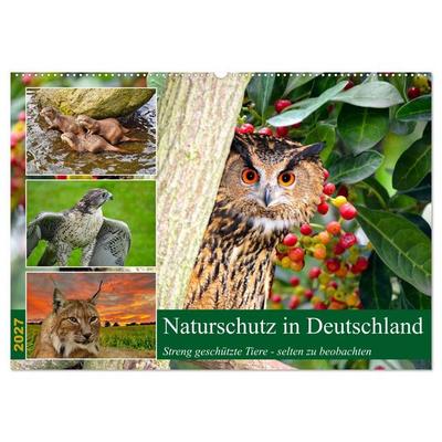Naturschutz in Deutschland (Wandkalender 2027 DIN A2 quer), CALVENDO Monatskalender