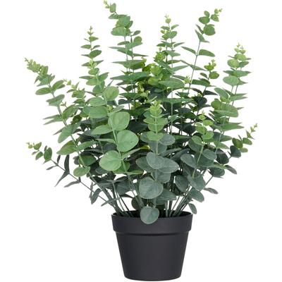 Kunstpflanze CREATIV GREEN "Eukalyptus gunnii", grün (grün, grau), H:60cm, Kunststoff, Kunstpflanzen, Kunstpflanze, in UV-beständiger Ausführung