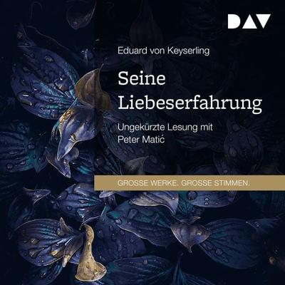 Seine Liebeserfahrung - Eduard Keyserling, Audio, 9783742427595