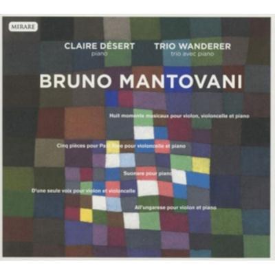 Musique de chambre - Desert Trio Wanderer, CD