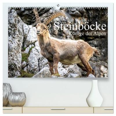Steinböcke - Majestätische Tiere der Alpen (hochwertiger Premium Wandkalender 2027 DIN A2 quer), Kunstdruck in Hochglanz
