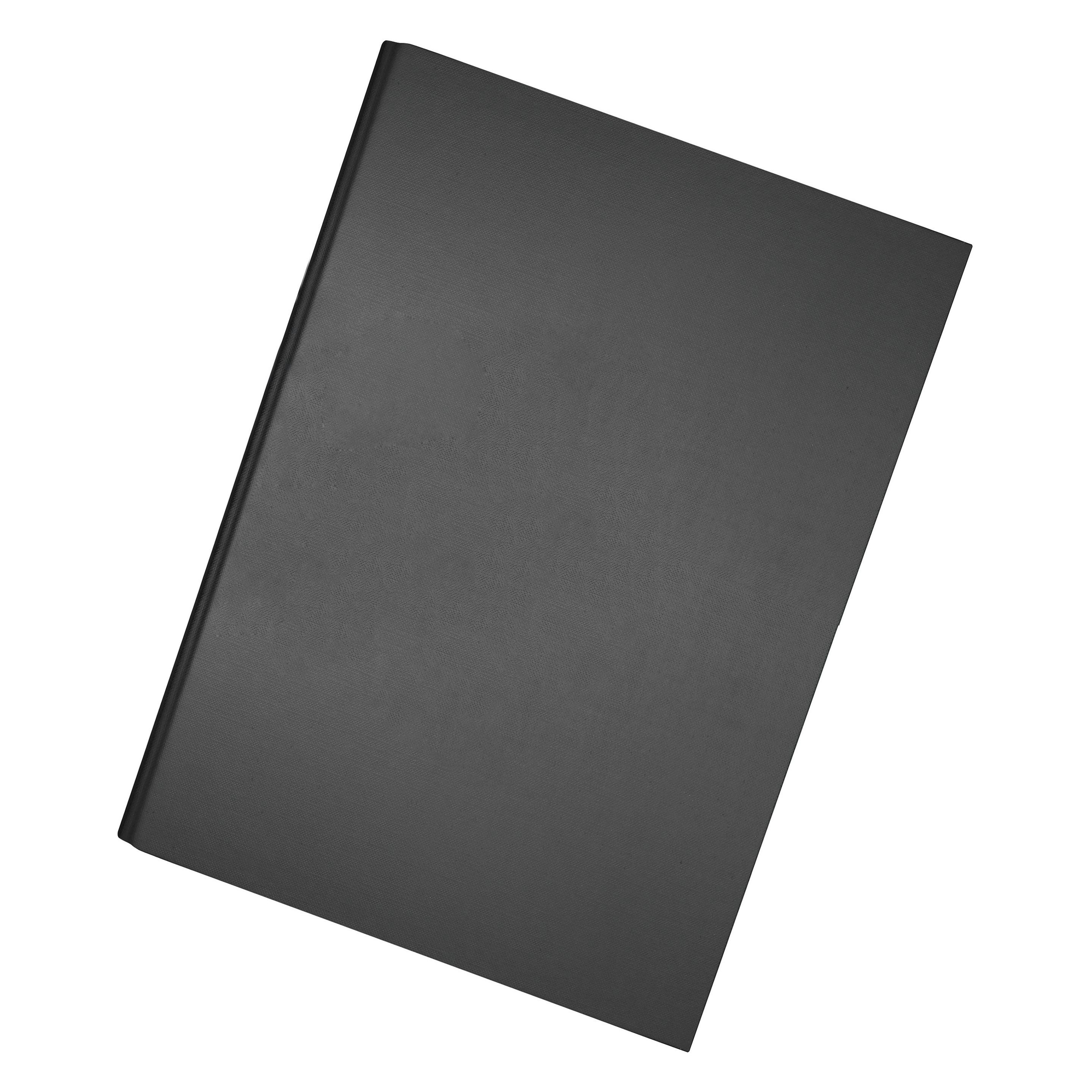 Biella Falken Klemmbrettmappe 11288362 DIN A4 Hartpappe/Folie schwarz (A4, 1x) (11288362)