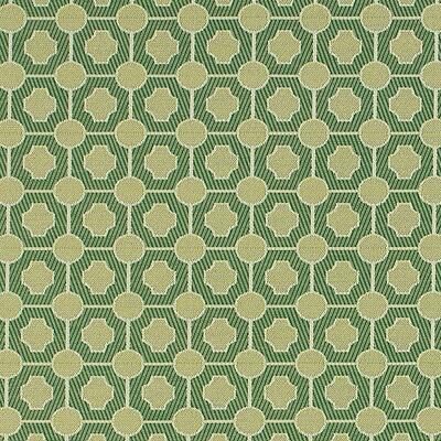 Letha Green InsideOut Performance Fabric by the Yard - Ballard Designs