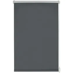 Gardinia, Rollo, Easyfix (65 x 150 cm)