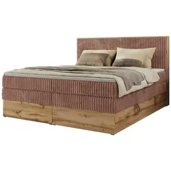 Boxspringbett mit Bettkasten  ¦ rosa/pink ¦ Maße (cm): B: 204 H: 120