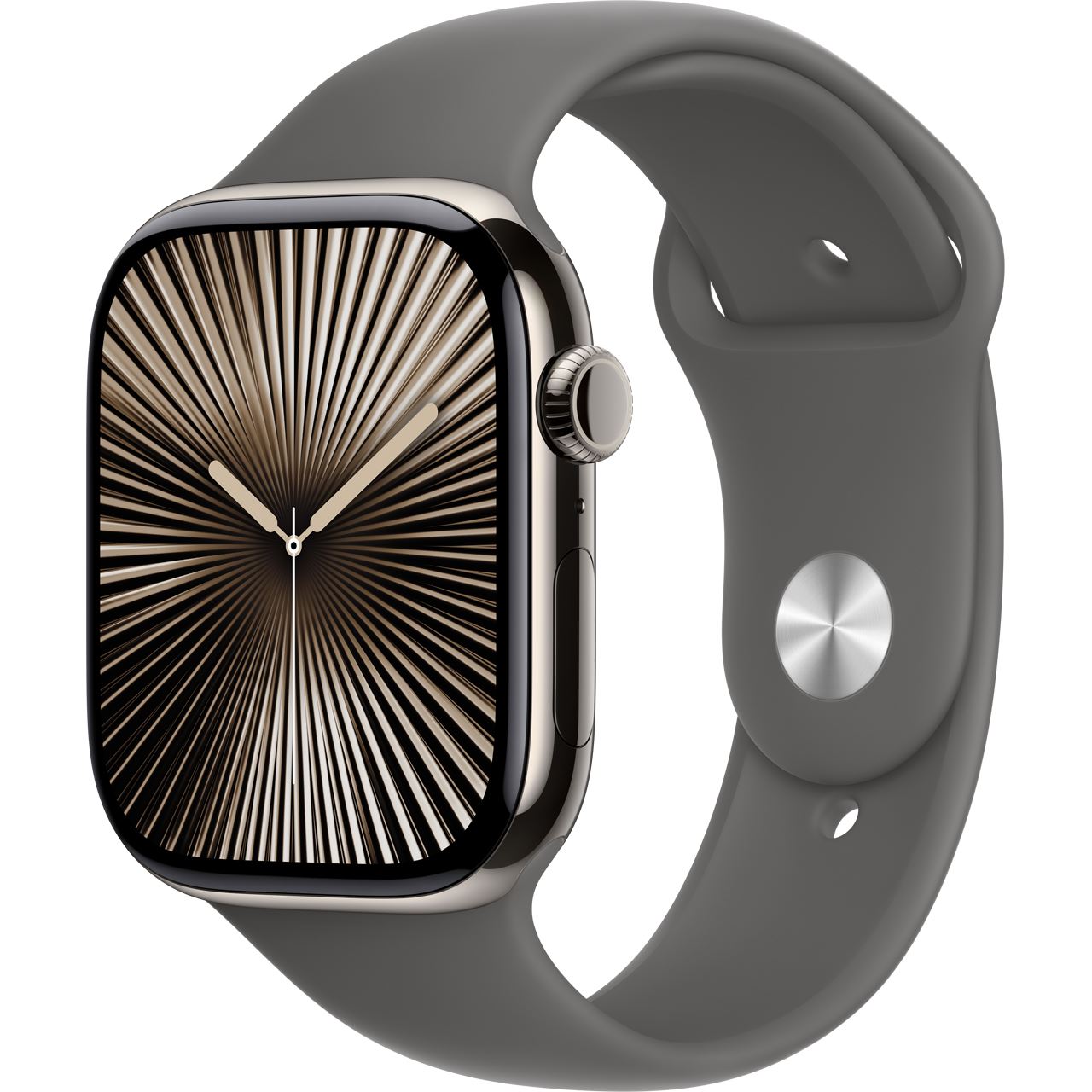 Apple Watch S10 Titan Natur Cellular 46mm (Sportarmband steingrau) M/L