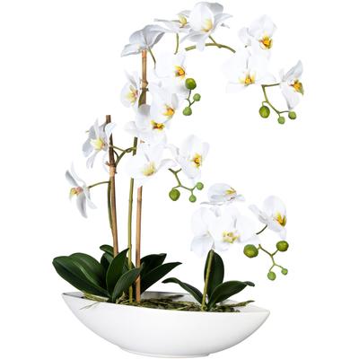 Kunstorchidee CREATIV GREEN "Phalaenopsis", weiß, H:60cm, Kunststoff, Kunstpflanzen, im Keramikschiff