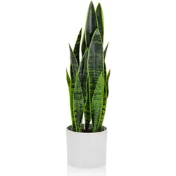 Bümö, Kunstpflanzen, Kunstpflanze Bogenhanf (sansevieria) (65 cm)