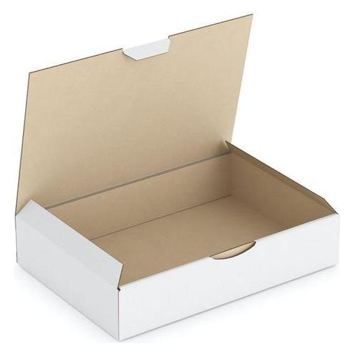Rajapack Raja Versandkarton 1-wellig Pappe 170 (B) x 50 (T) x 240 (H) mm Weiss (50 Stk.) (RPT112)