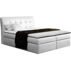 BOXBETT Diego - H3