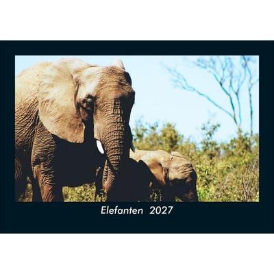 Elefanten 2027 Fotokalender DIN A5