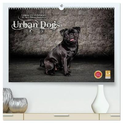 Urban Dogs - Hundekalender der anderen Art (hochwertiger Premium Wandkalender 2027 DIN A2 quer), Kunstdruck in Hochglanz
