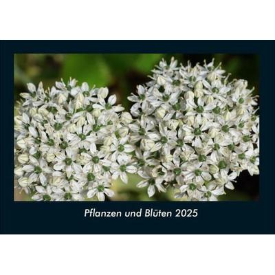 Pflanzen und Blüten 2025 Fotokalender DIN A4