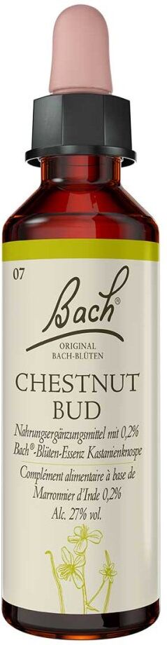 Bachblüten Chestnut Bud Tropfen