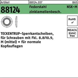 Sperrkantscheibe R 88124 NSK-M 14 Federstahl zinklamellenb. 500St. TECKENTRUP