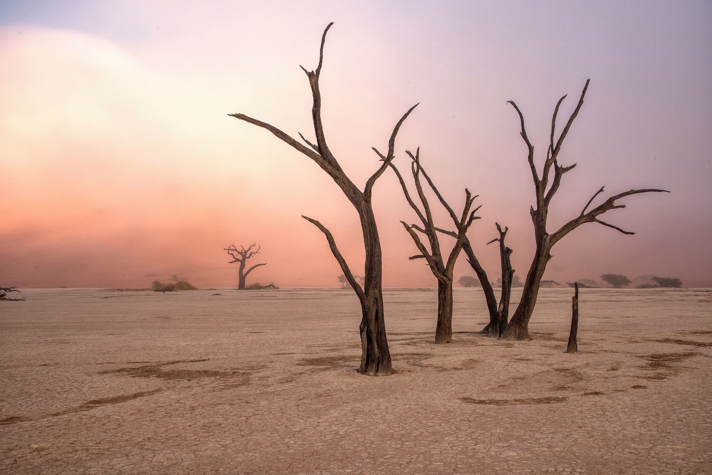 Fototapete PAPERMOON "Photo-Art GIUSEPPE DAMICO, NEBEL IN DEADVLEI", bunt, B:4,5m L:2,8m, Vlies, Tapeten, Fototapete bunt B/L: 4,5m x 2,8m, Bahnen: 9 Stk.