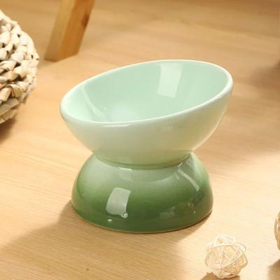 Inspire Select Elevated Tilted Ceramic Cat Food Bowl Dishwasher & Microwave Safe Pet Feeding Dish light Green