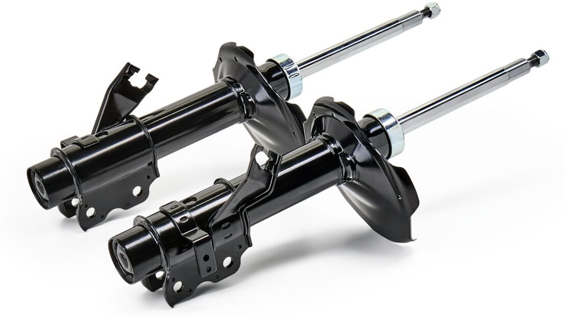 RIDEX 854S2589 Shock absorber