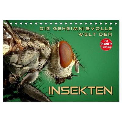 Die geheimnisvolle Welt der Insekten (Tischkalender 2027 DIN A5 quer), CALVENDO Monatskalender