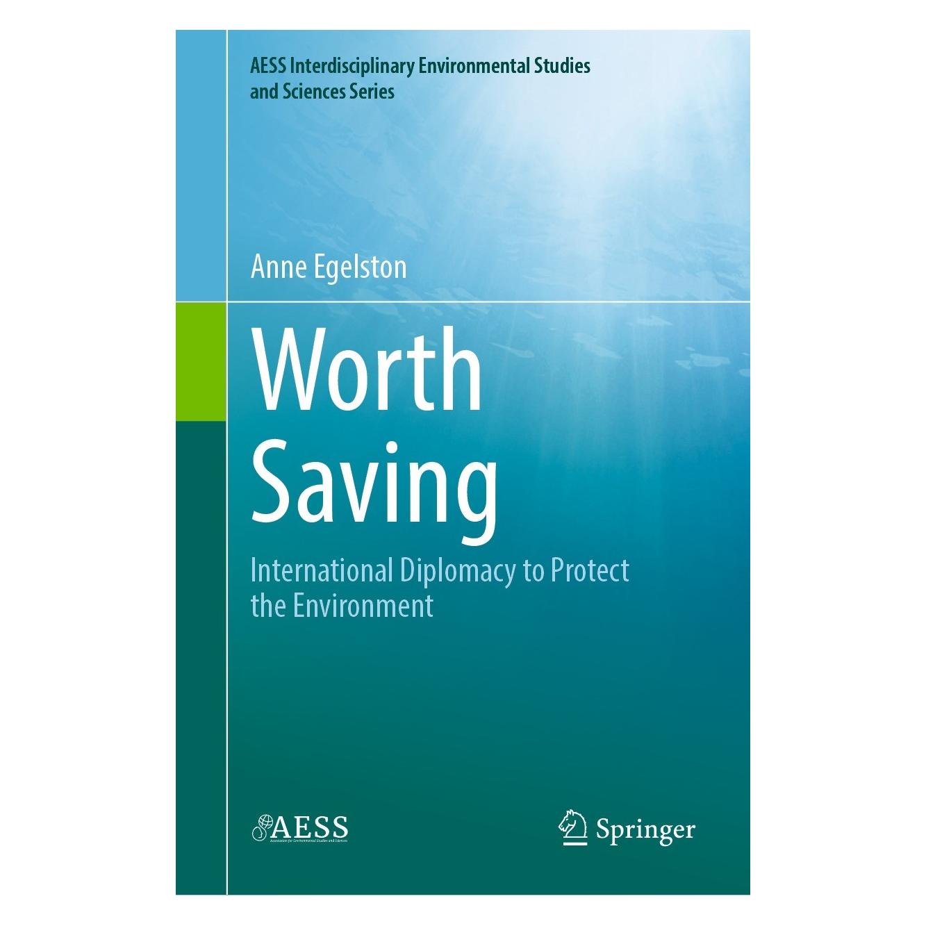 Springer Worth Saving (9783031069895)