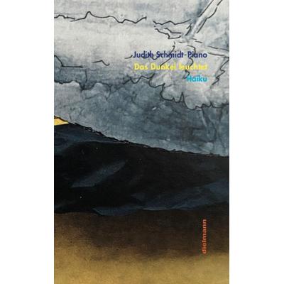 Das Dunkel leuchtet, Taschenbuch von Judith Schmidt-Piano, Dielmann, Axel, 978-3-86638-510-8