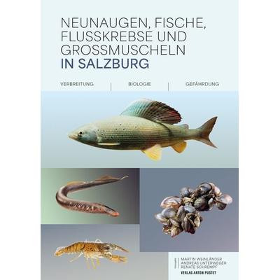 Neunaugen, Fische, Flusskrebse und Großmuscheln in Salzburg, Taschenbuch von Martin Weinländer,Andreas Unterweger,Renate Schrempf, Verlag Anton Pustet