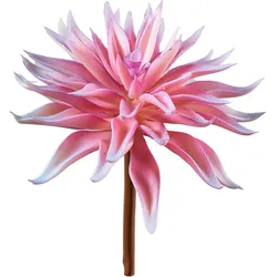 Sukkulenten Pick 15cm pink