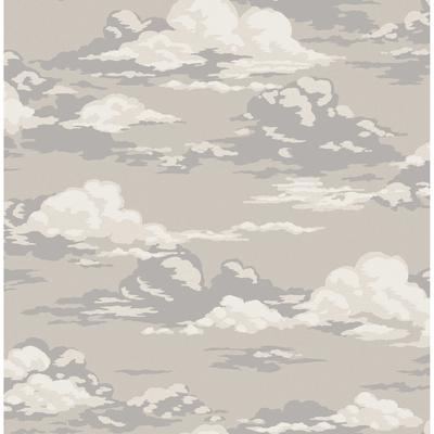 Advantage Cumulus Neutral Clouds Wallpaper