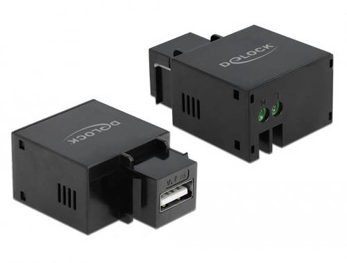 Delock 86506 USB-Einbaumodul Keystone 1St.