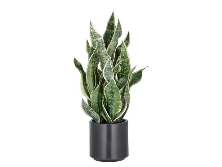 home24 Kunstplant Sansevieria type B 25 x 66 x 25cm groen/wit