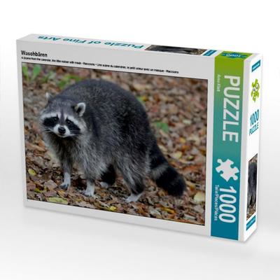 CALVENDO Puzzle Waschbären | 1000 Teile Lege-Größe 64x48cm Foto-Puzzle für glückliche Stunden