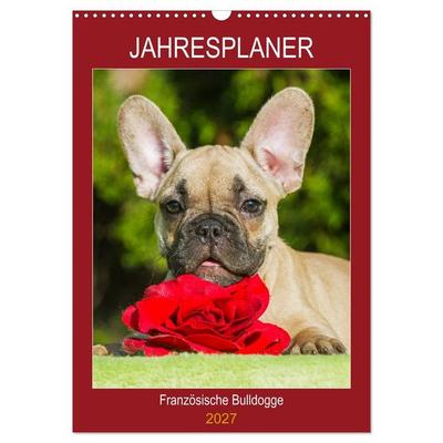 Jahresplaner Französische Bulldogge (Wandkalender 2027 DIN A3 hoch), CALVENDO Monatskalender