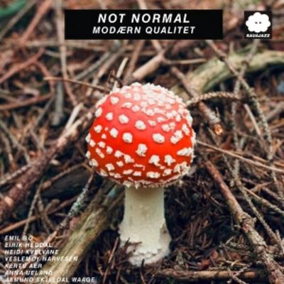 Modrn Qualitet - Not Normal, Vinyl