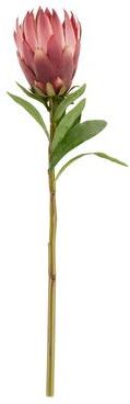 Saro Lifestyle "King Protea Stem Floral Accent (Set of 12) - Red - 27"""