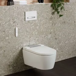 Geberit AquaClean Sela Wand-Tiefspül-WC 146220211 hochglanz-verchromt, Komplettanlage