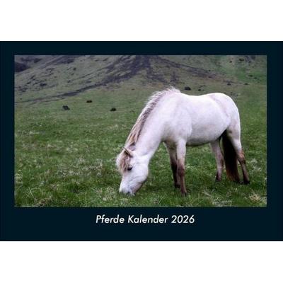 Pferde Kalender 2026 Fotokalender DIN A4
