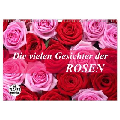 Die vielen Gesichter der Rosen (Wandkalender 2027 DIN A3 quer), CALVENDO Monatskalender